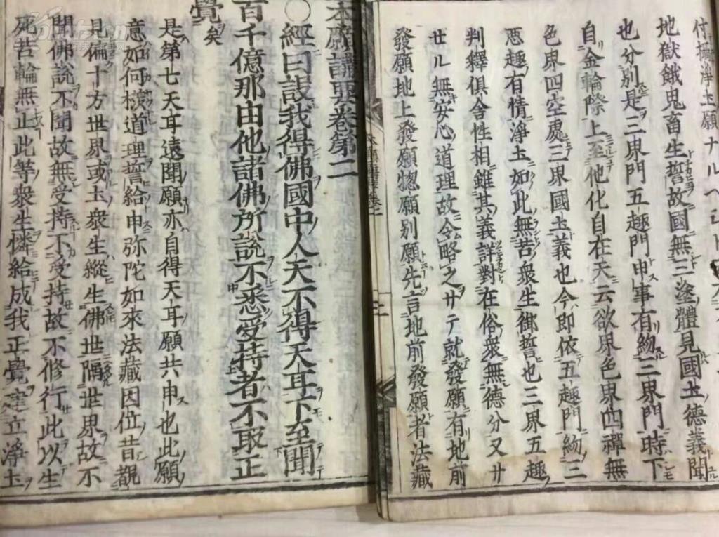 欲钱看古书里的蛀虫打一准确生肖，详细解答、实证解答解释落实