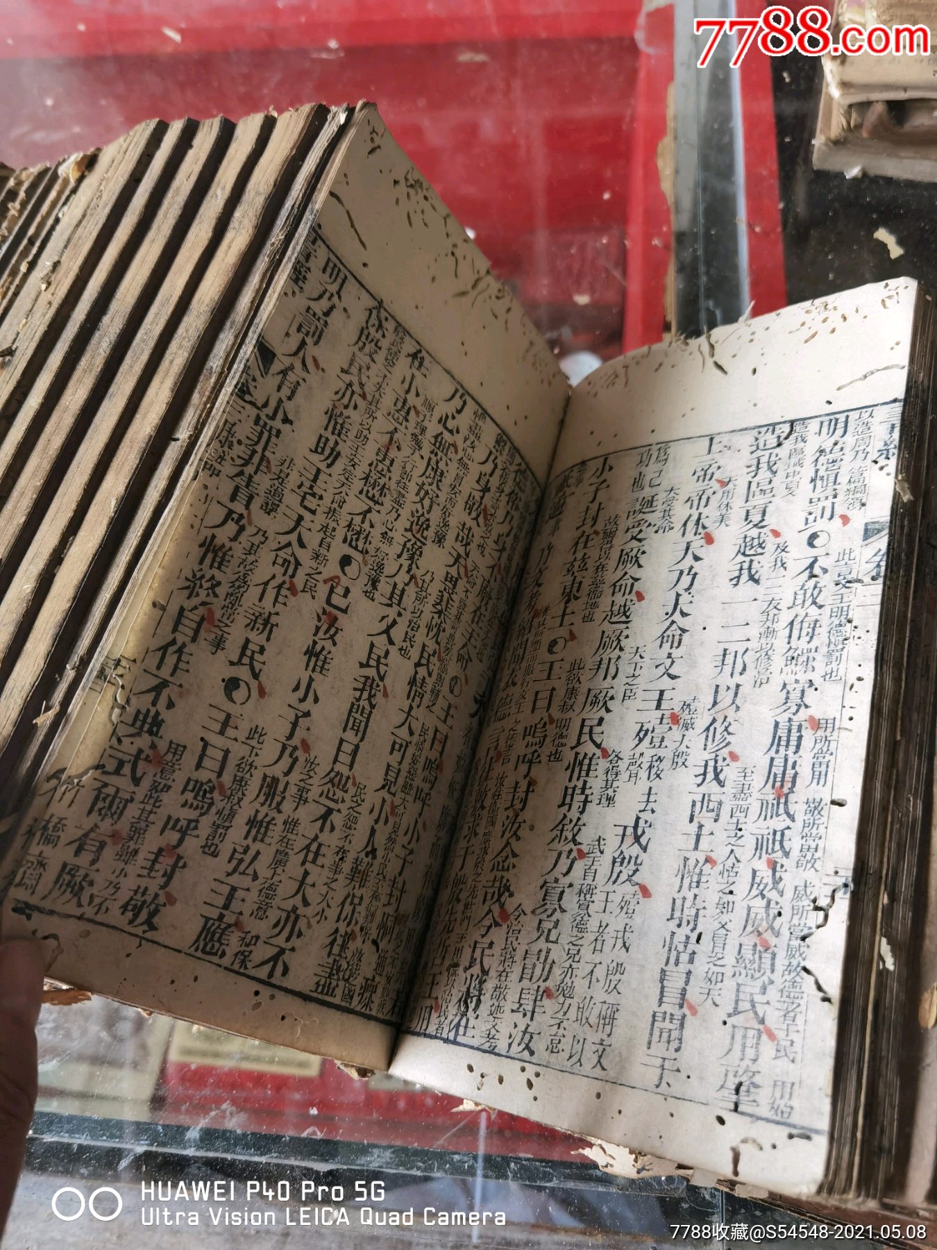 欲钱看古书里的蛀虫打一准确生肖，详细解答、实证解答解释落实